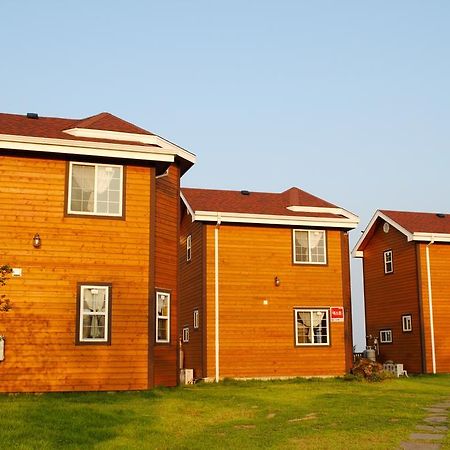 Sweetsalt Vila Seogwipo Exterior foto